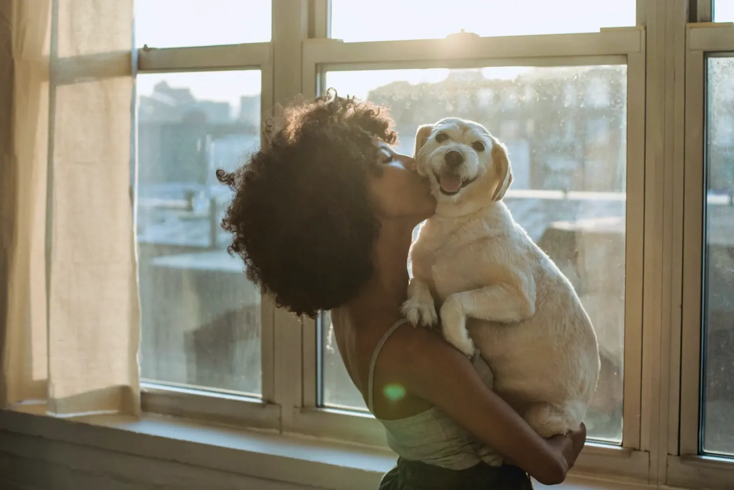 A dog licking its smiling owner