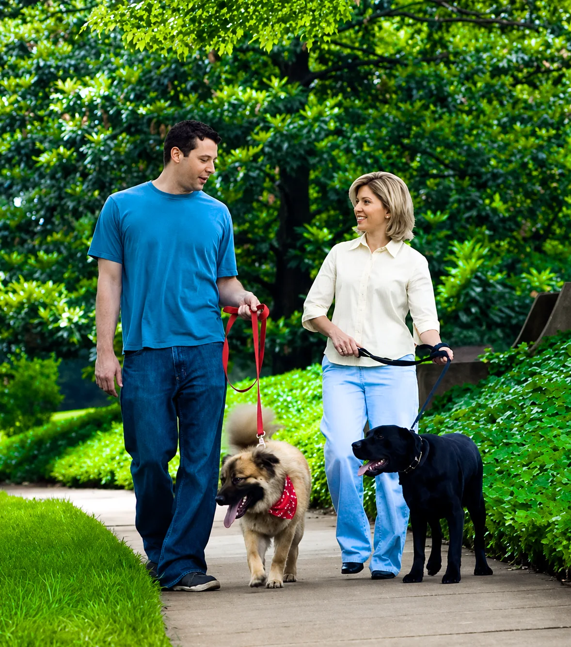 Three friends walking their dogs together on a park path