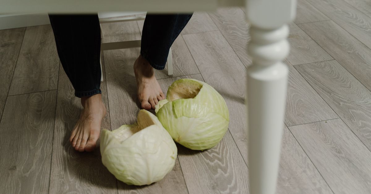 Pies siedzący obok główki kapusty na drewnianym stole