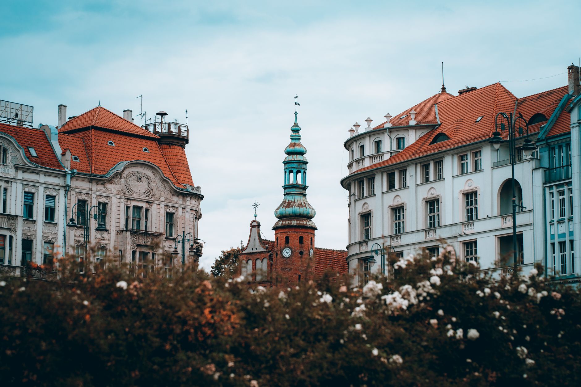 Bydgoszcz - widok miasta, ilustracja do poradnika o spacerach z psem