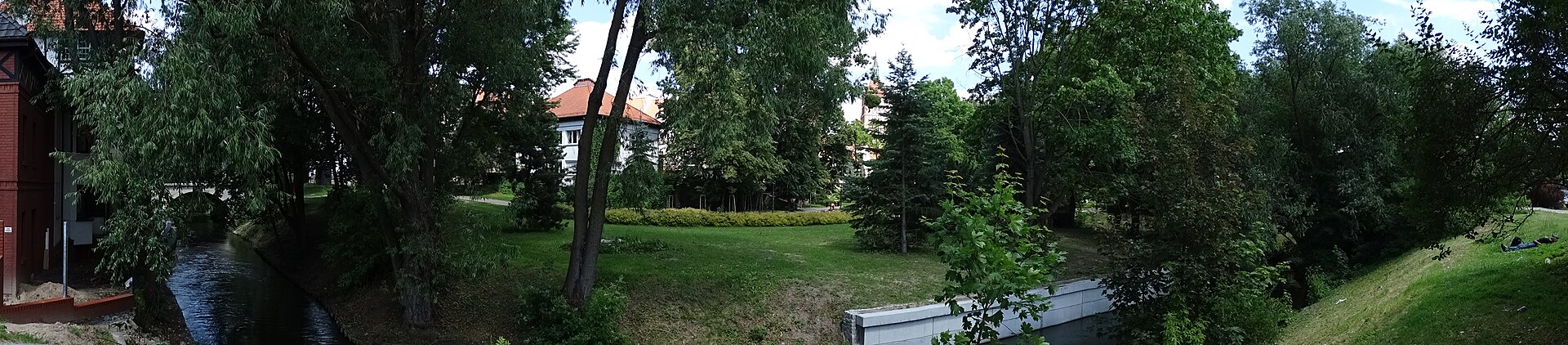 Olsztyn - widok miasta, ilustracja do poradnika o spacerach z psem