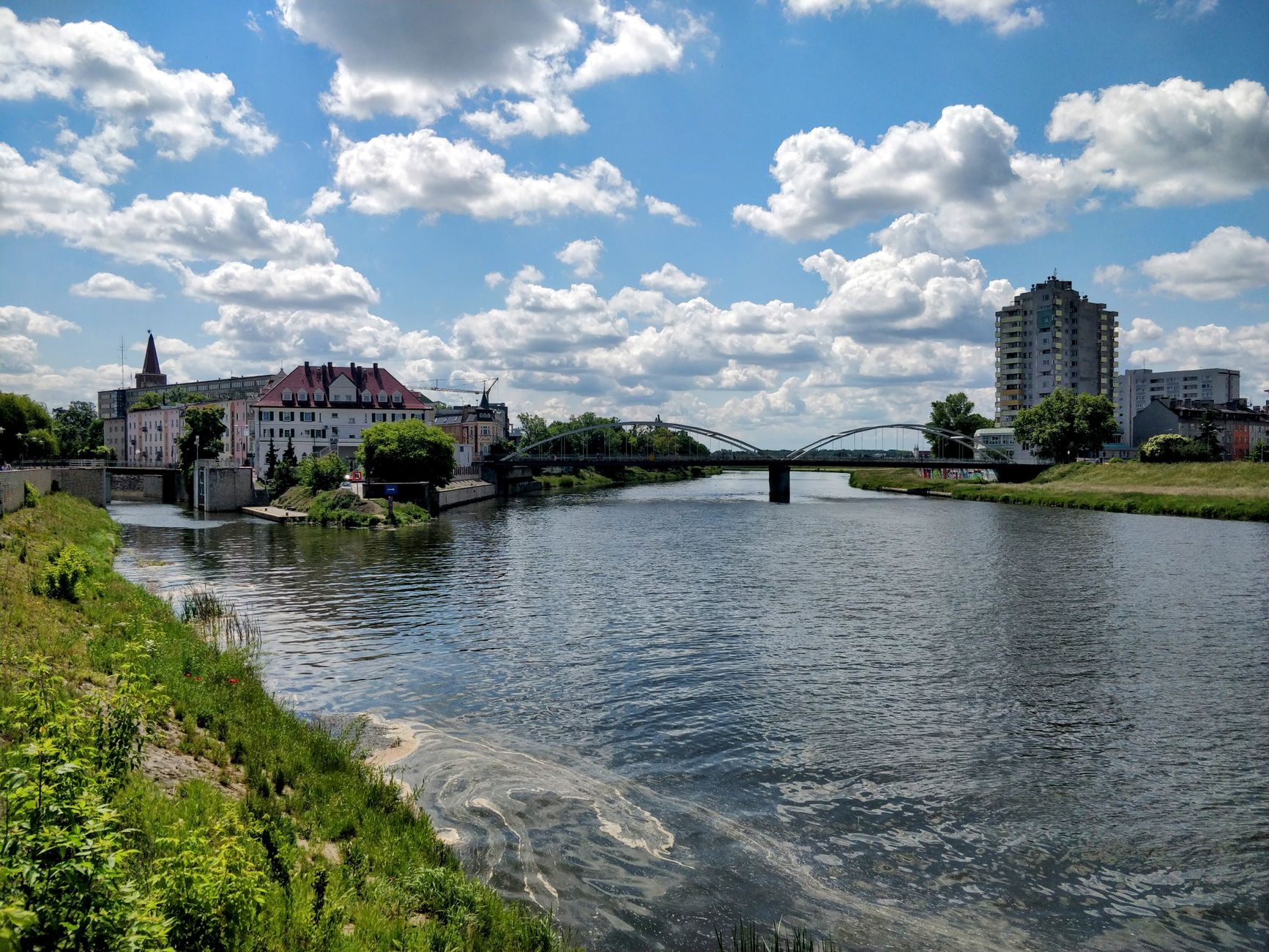Opole - widok miasta, ilustracja do poradnika o spacerach z psem